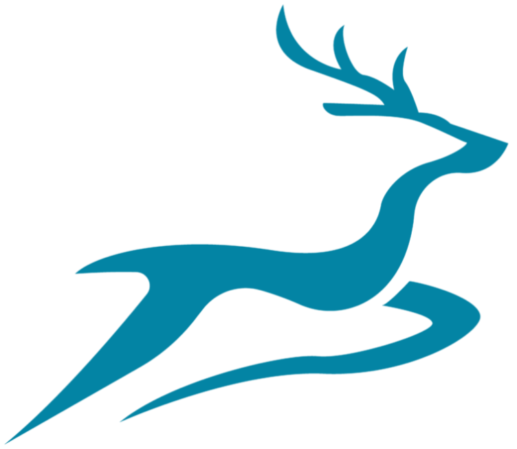 ERRANDEER LTD
